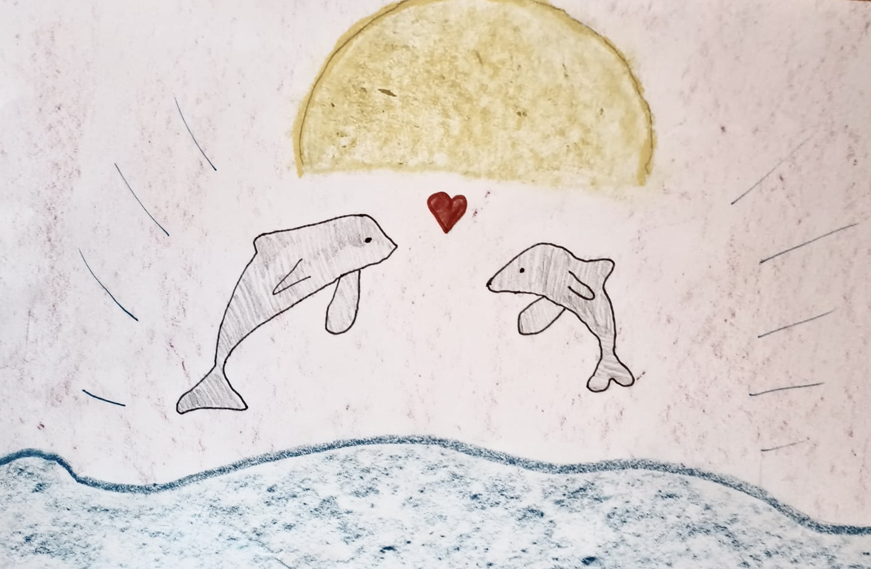 Kaksi delfiiniä hyppäävät vastakkain. Väliin piirretty sydän. Taustalla aurinko.